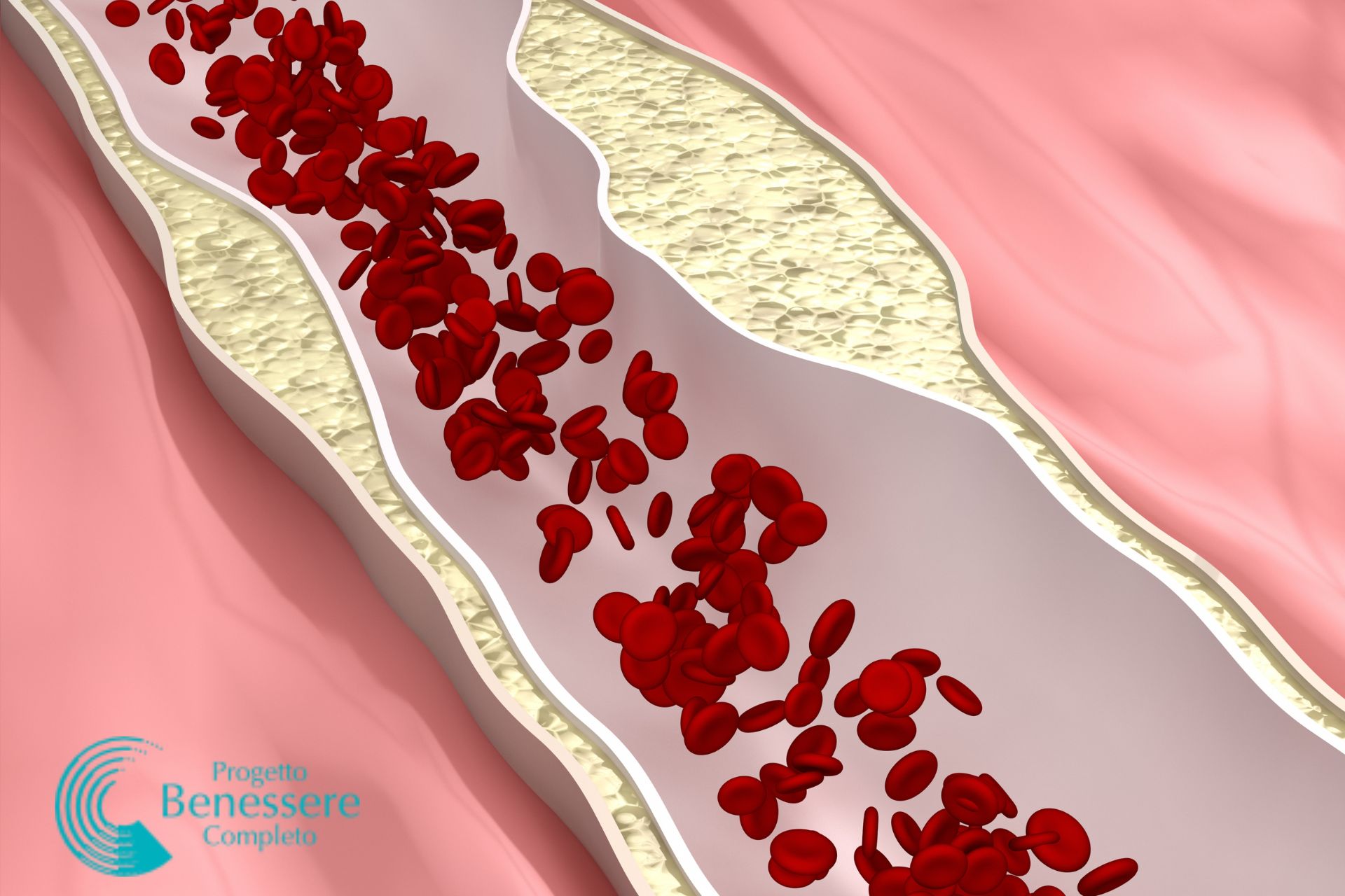 Colesterolo: una minaccia per le malattie cardiovascolari. Sintomi, cause e soluzioni olistiche più efficaci per tenerlo sotto controllo