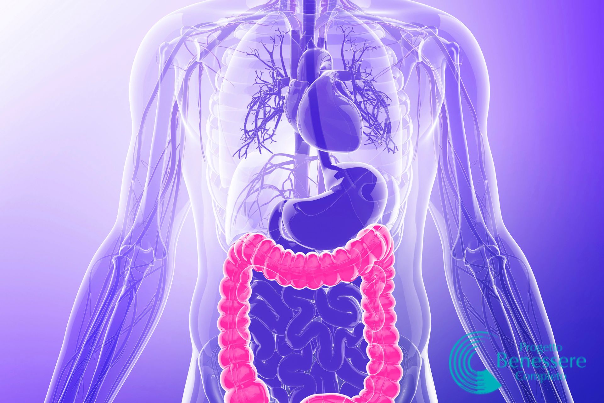 Lavaggio intestinale - VisKappa