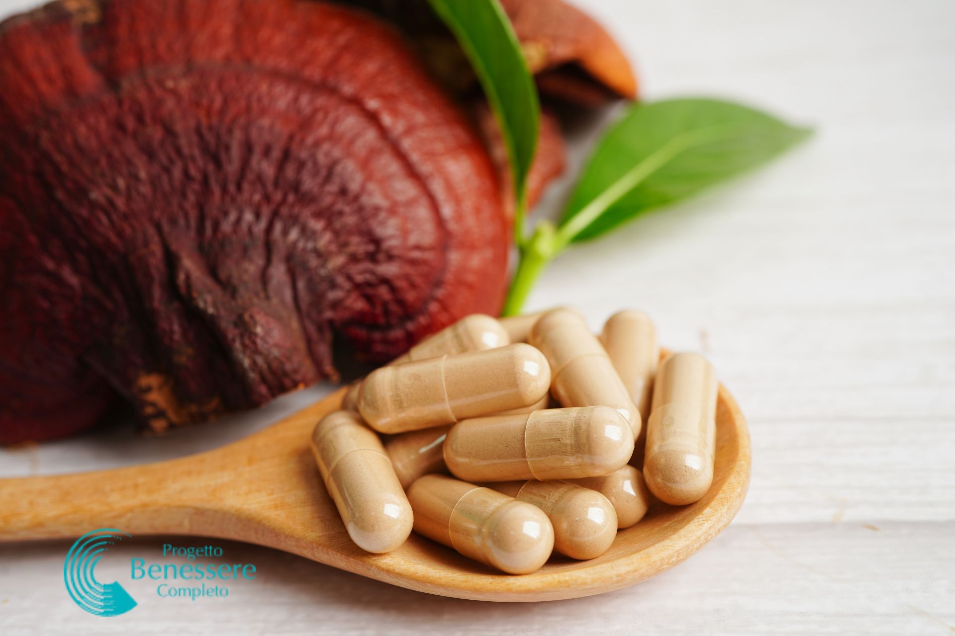 Il Reishi: un antico rimedio per il benessere generale